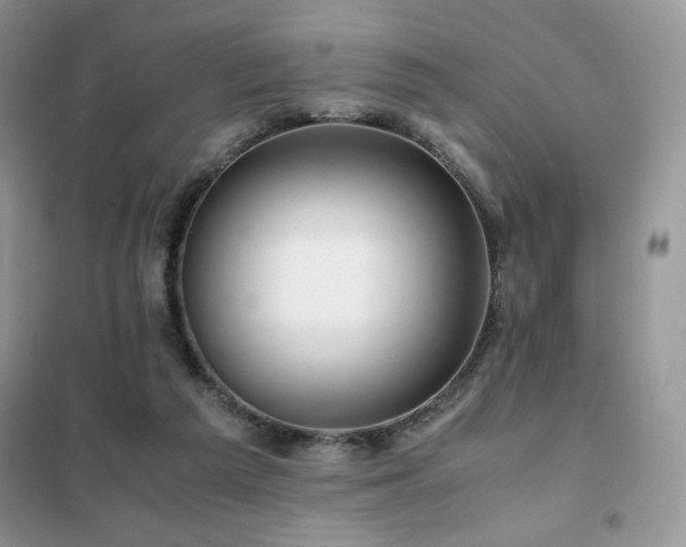 X0000102380209200808011544