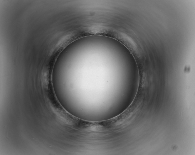 X0000102380210200808011544