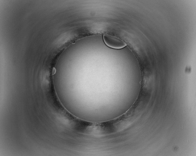 X0000102380211200808011544