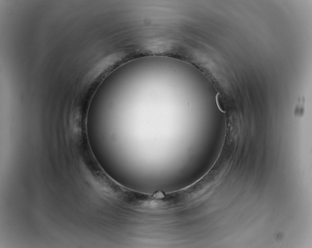X0000102380212200808011544