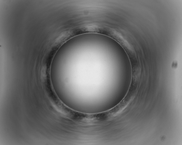 X0000102380213200808011544