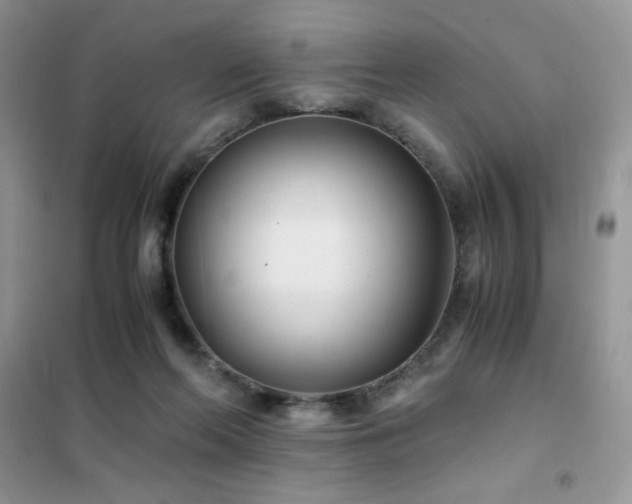 X0000102380214200808011544