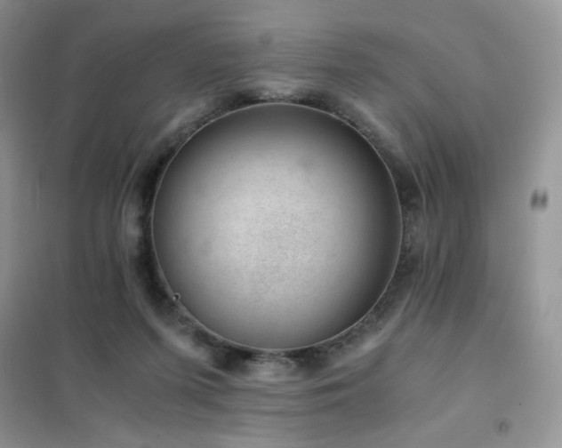 X0000102380215200808011544