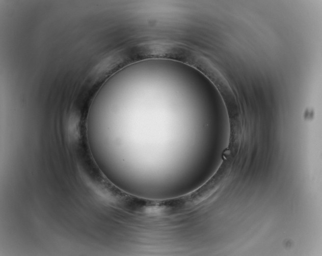 X0000102380216200808011544