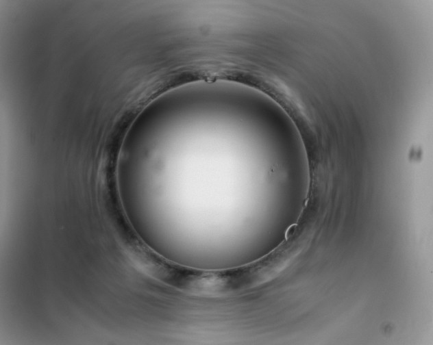 X0000102380217200808011544