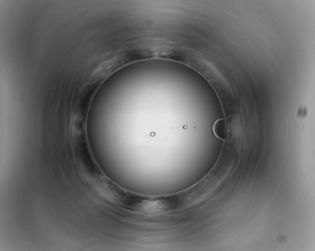 X0000102380218200808011544