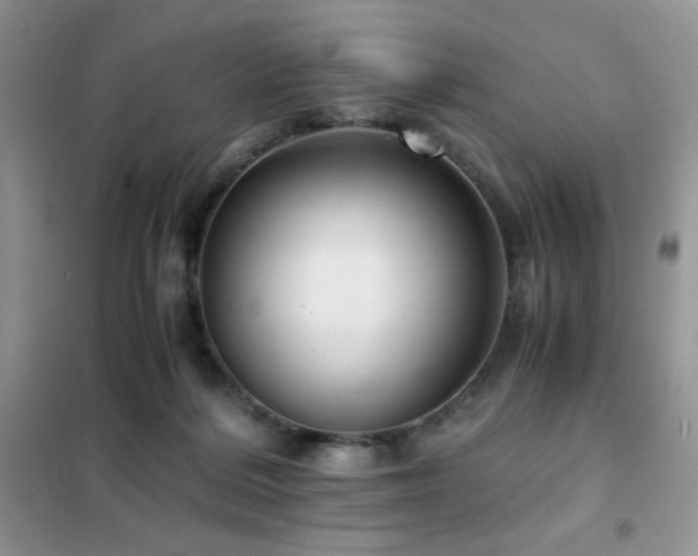 X0000102380220200808011544