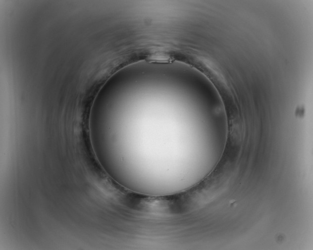 X0000102380221200808011544