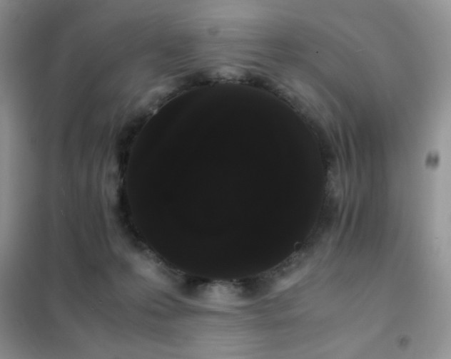 X0000102380223200808011544