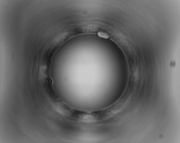 X0000102380224200808011544