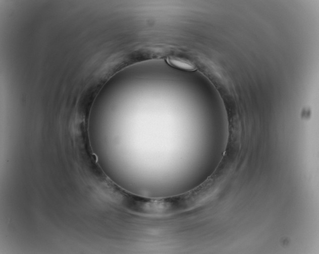 X0000102380225200808011544
