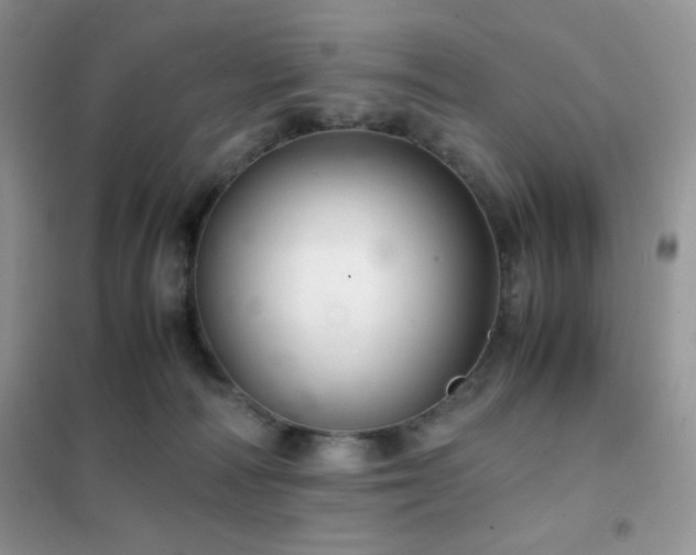 X0000102380226200808011544