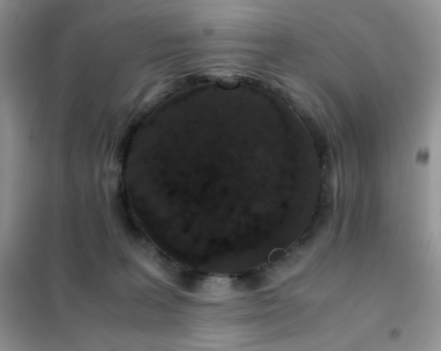 X0000102380227200808011544