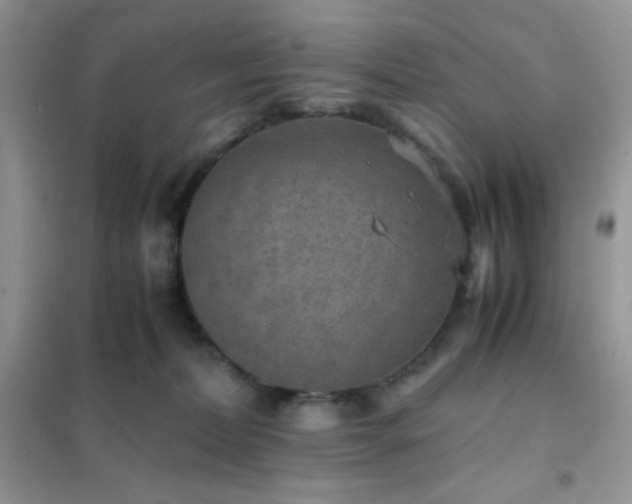 X0000102380228200808011544