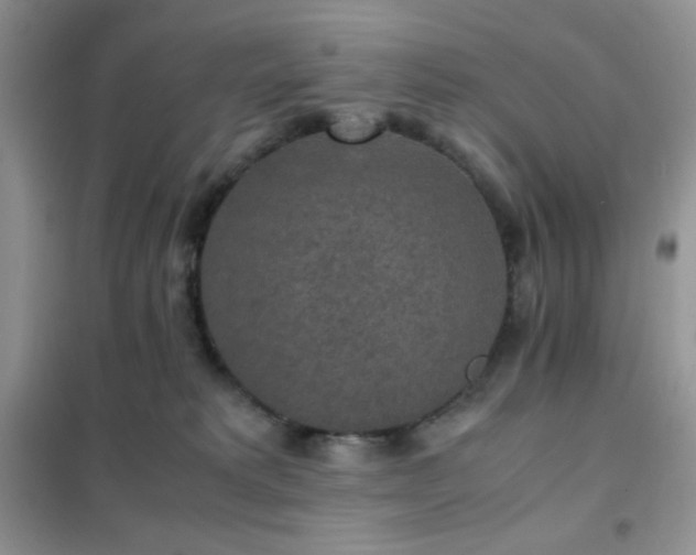 X0000102380229200808011544