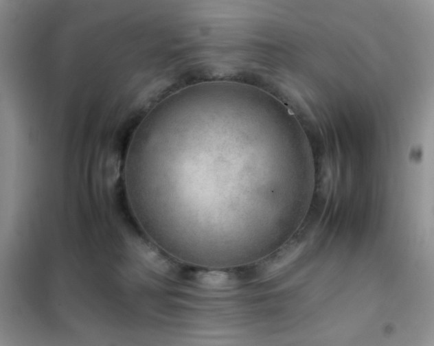 X0000102380230200808011544