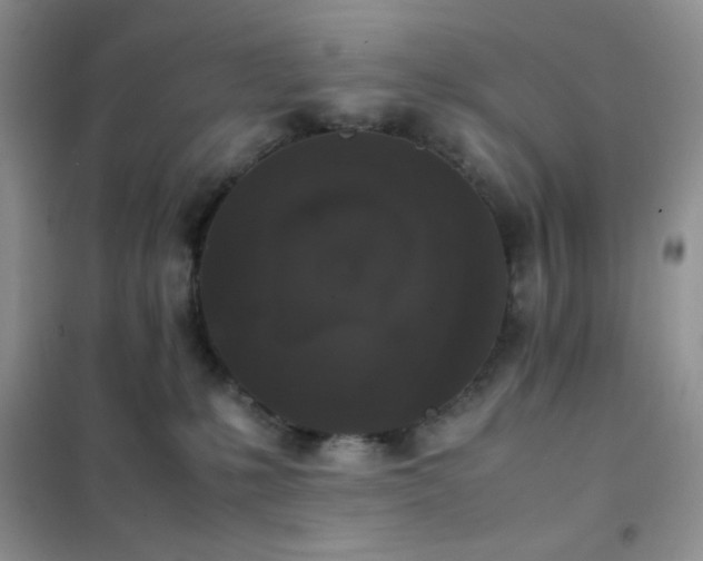 X0000102380231200808011544