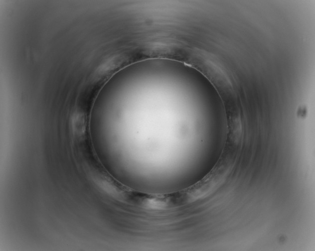 X0000102380232200808011544