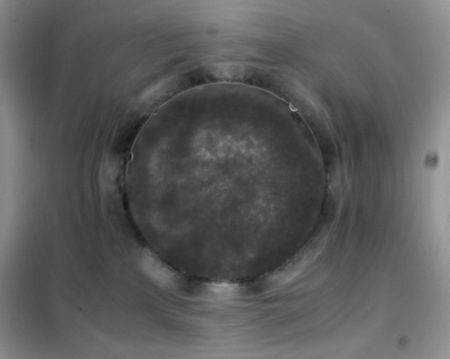 X0000102380233200808011544
