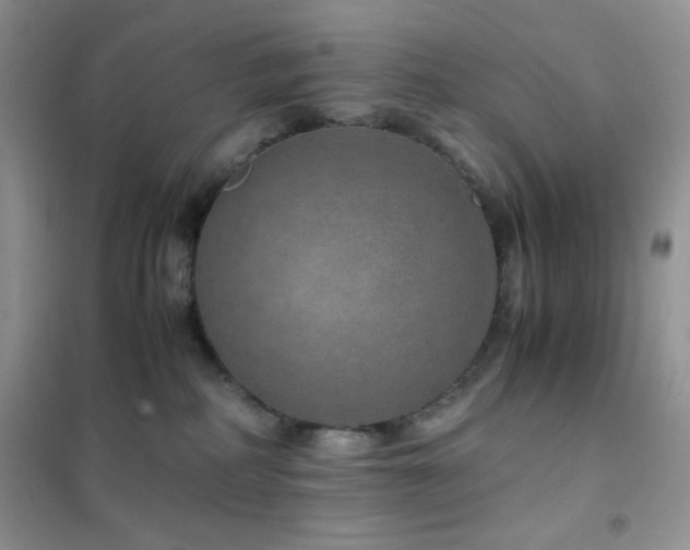 X0000102380234200808011544