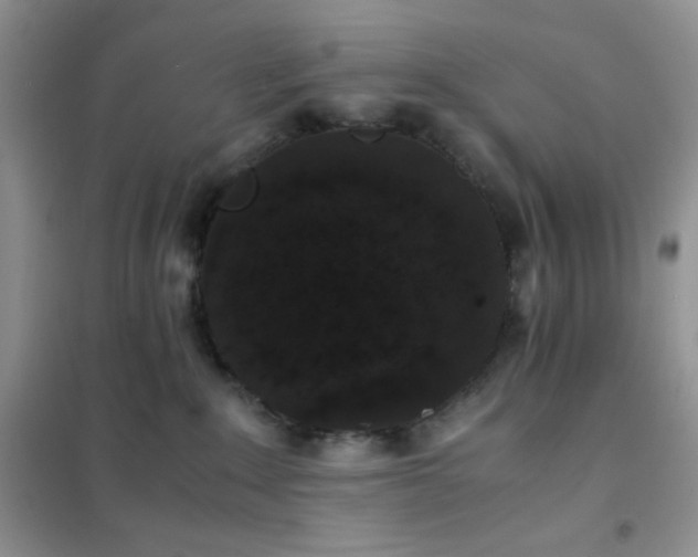 X0000102380235200808011544