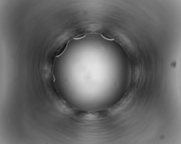 X0000102380236200808011544