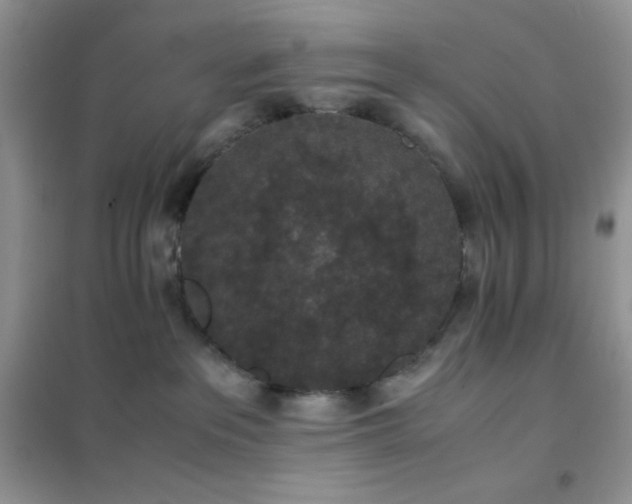 X0000102380237200808011544