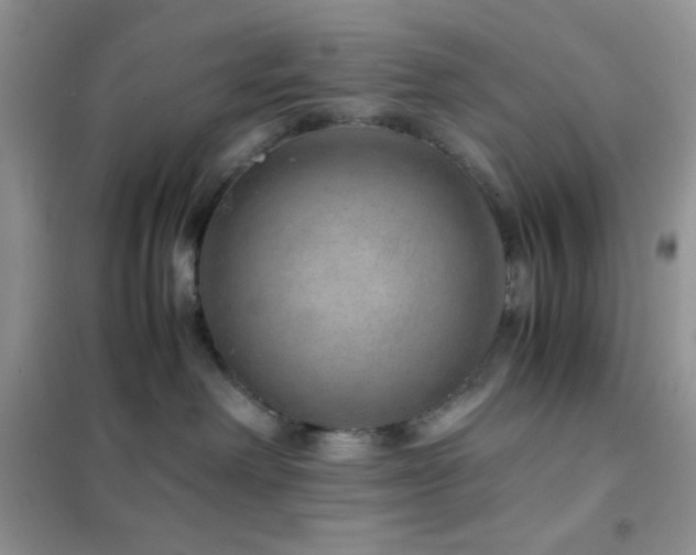 X0000102380238200808011543