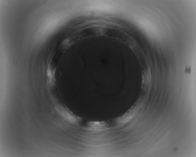 X0000102380239200808011543