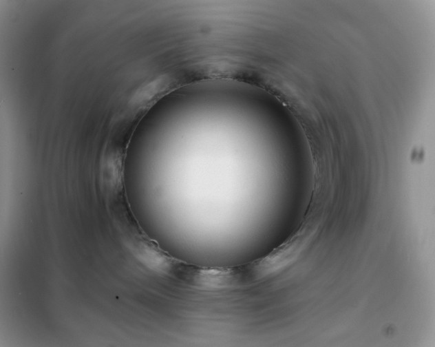 X0000102380240200808011543