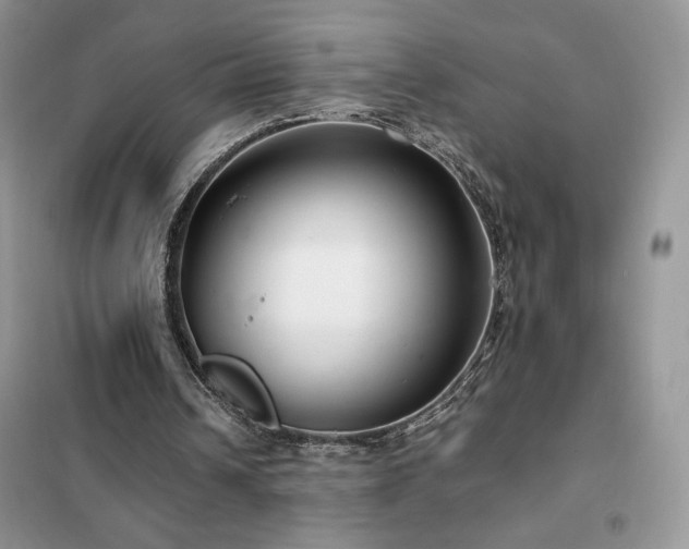 X0000102380242200808011543