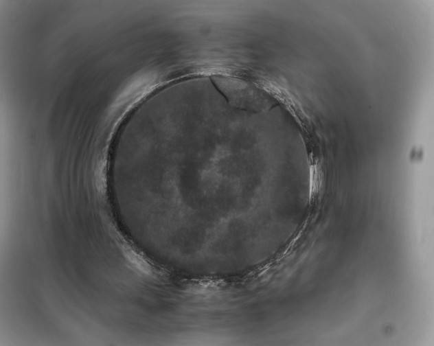 X0000102380243200808011543