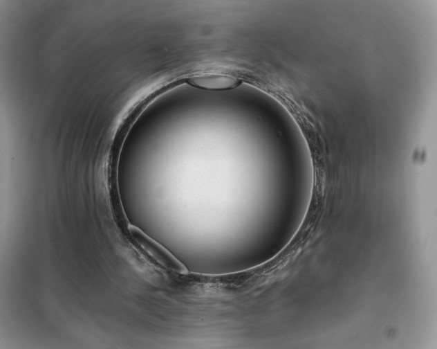 X0000102380244200808011543