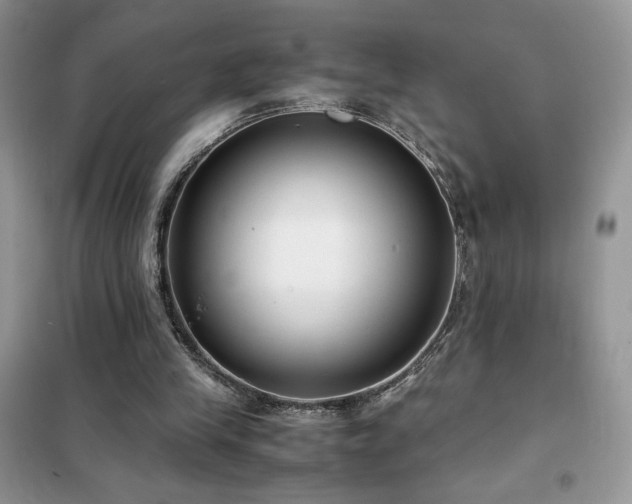 X0000102380245200808011543