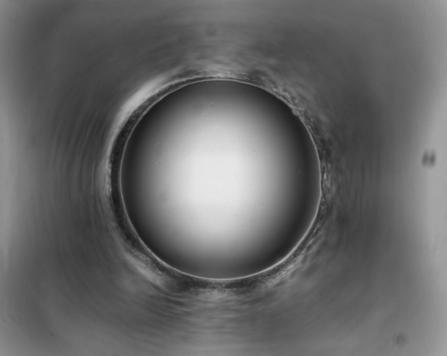 X0000102380246200808011543
