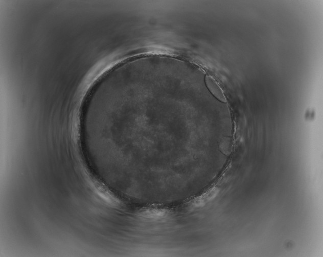 X0000102380247200808011543
