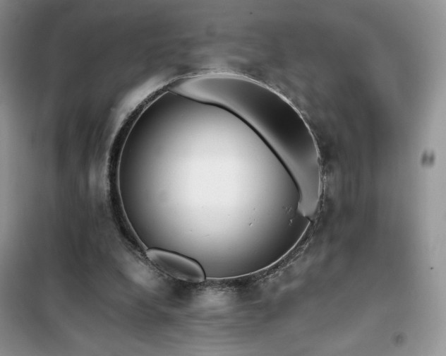 X0000102380248200808011543