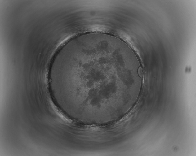 X0000102380249200808011543