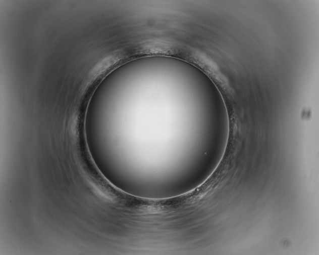 X0000102380250200808011543