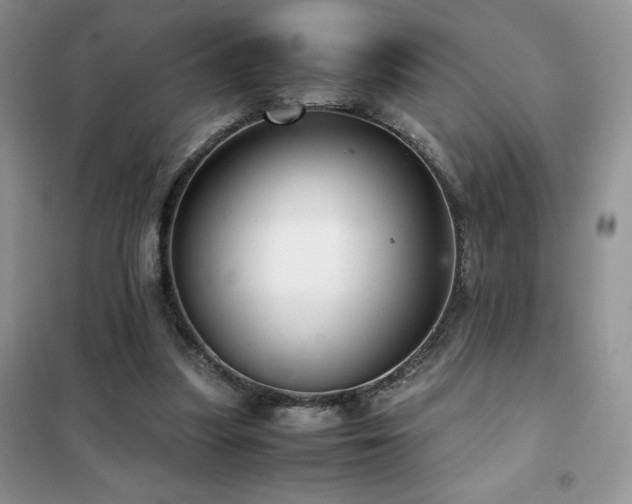 X0000102380251200808011543