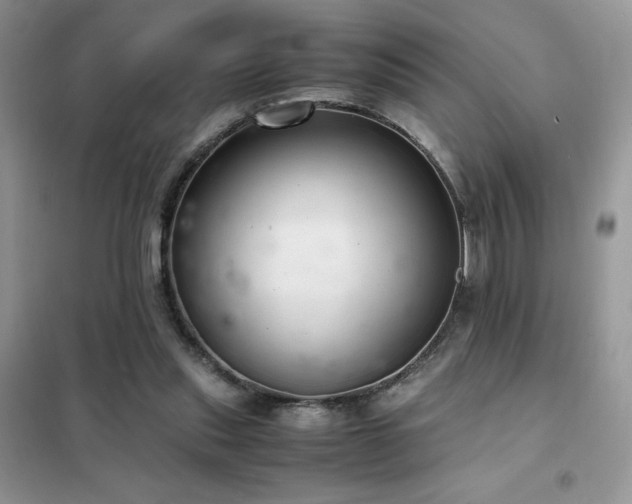 X0000102380253200808011543