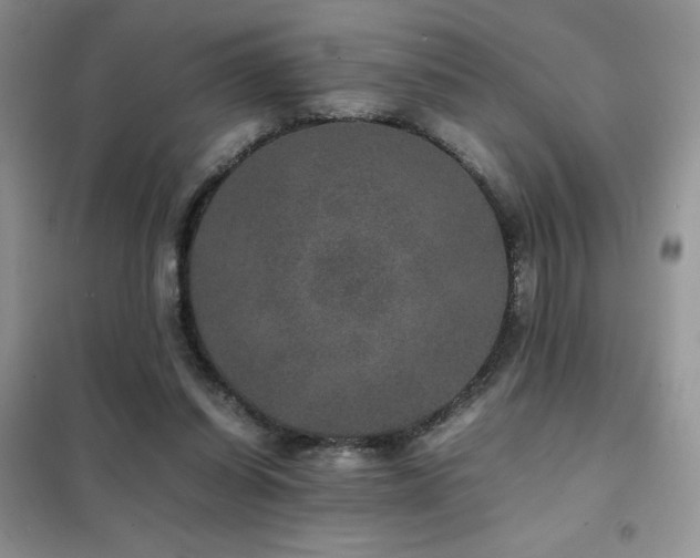 X0000102380254200808011543
