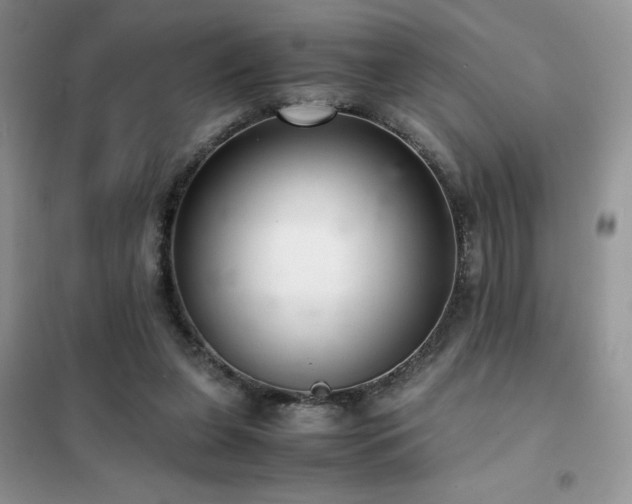 X0000102380255200808011543