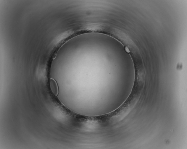 X0000102380256200808011543