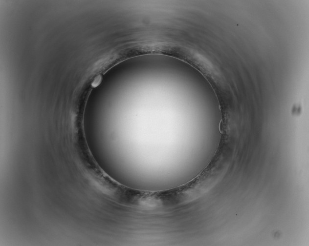 X0000102380258200808011543