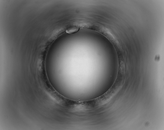 X0000102380259200808011543