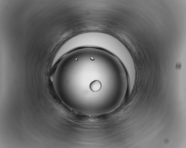X0000102380260200808011543