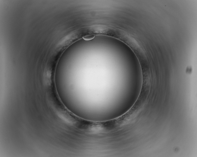 X0000102380262200808011543