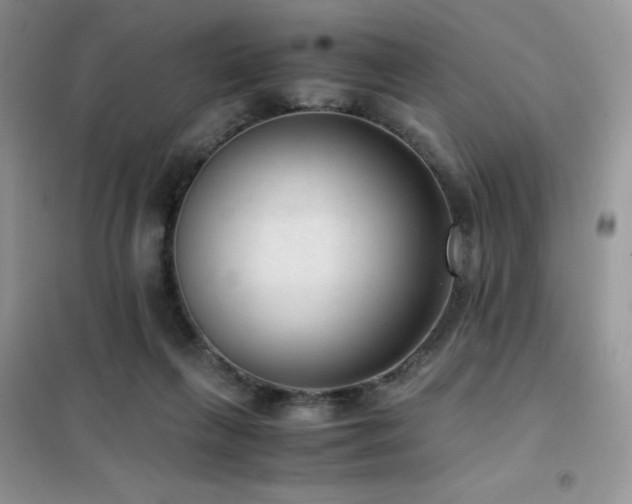 X0000102380263200808011543