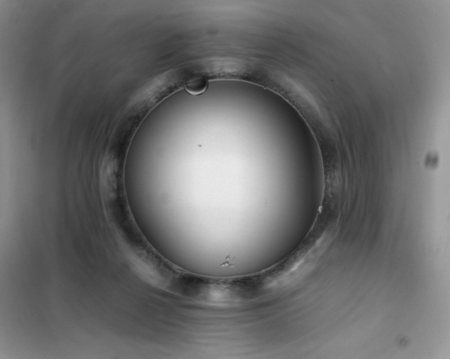 X0000102380264200808011543